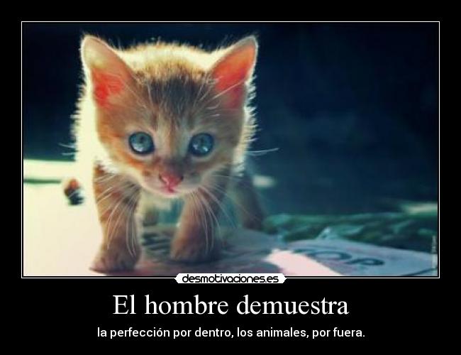 El hombre demuestra - la perfección por dentro, los animales, por fuera.