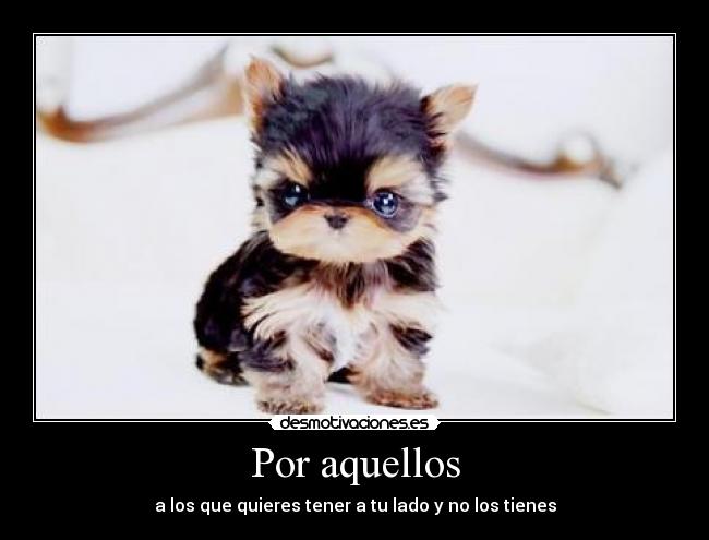 Por aquellos - a los que quieres tener a tu lado y no los tienes