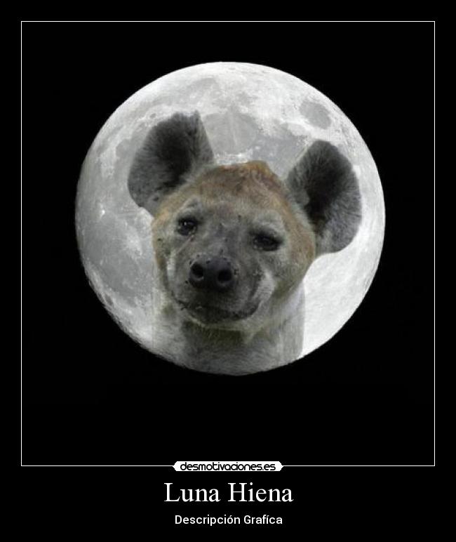 Luna Hiena - Descripción Grafíca