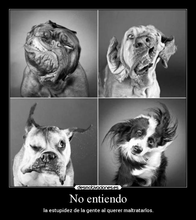 No entiendo -