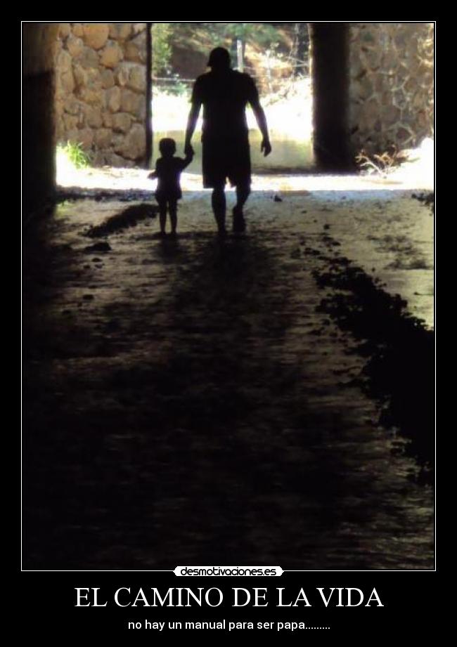 carteles vida rmas56 desmotivaciones