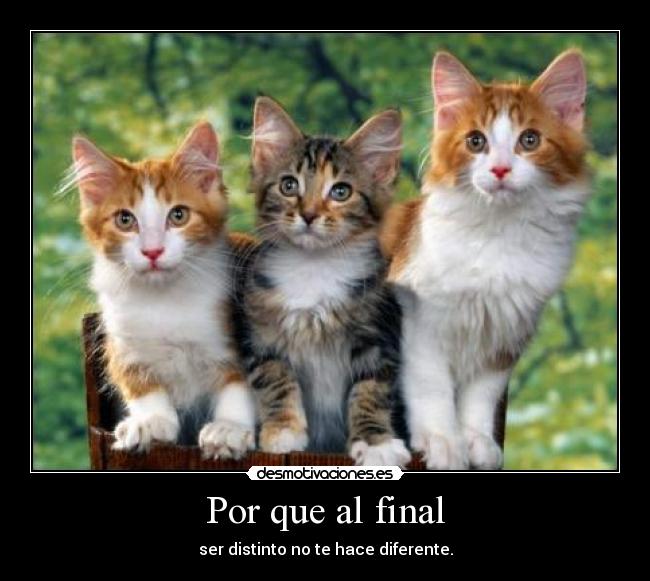 Por que al final - ser distinto no te hace diferente.