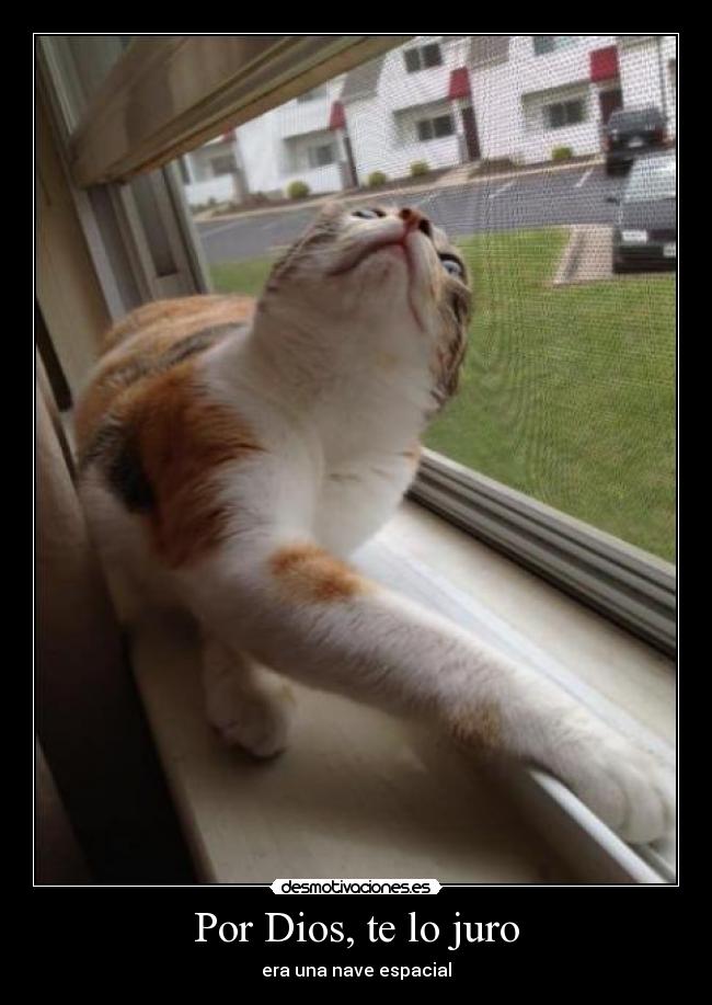 Por Dios, te lo juro - era una nave espacial