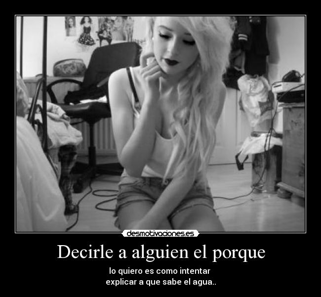 carteles como intentar explicar que sabe agua desmotivaciones