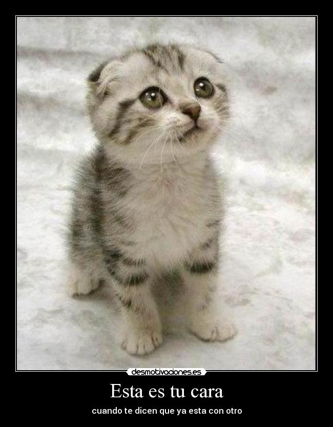 Esta es tu cara - 