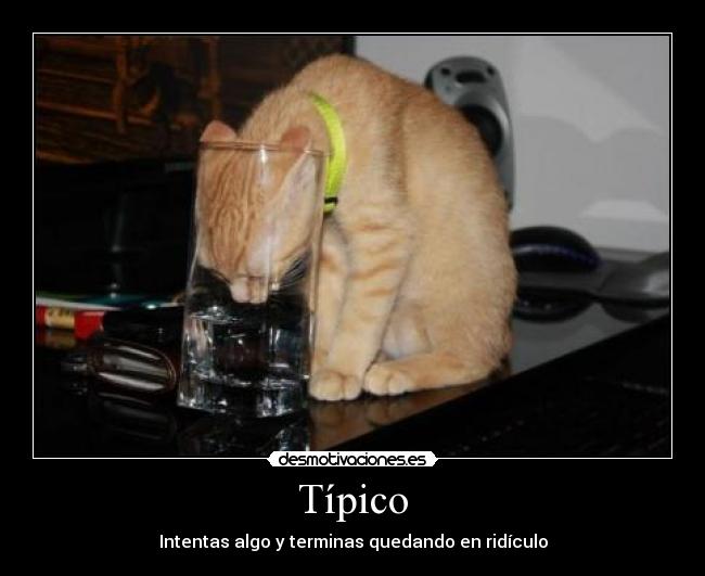 Típico - Intentas algo y terminas quedando en ridículo