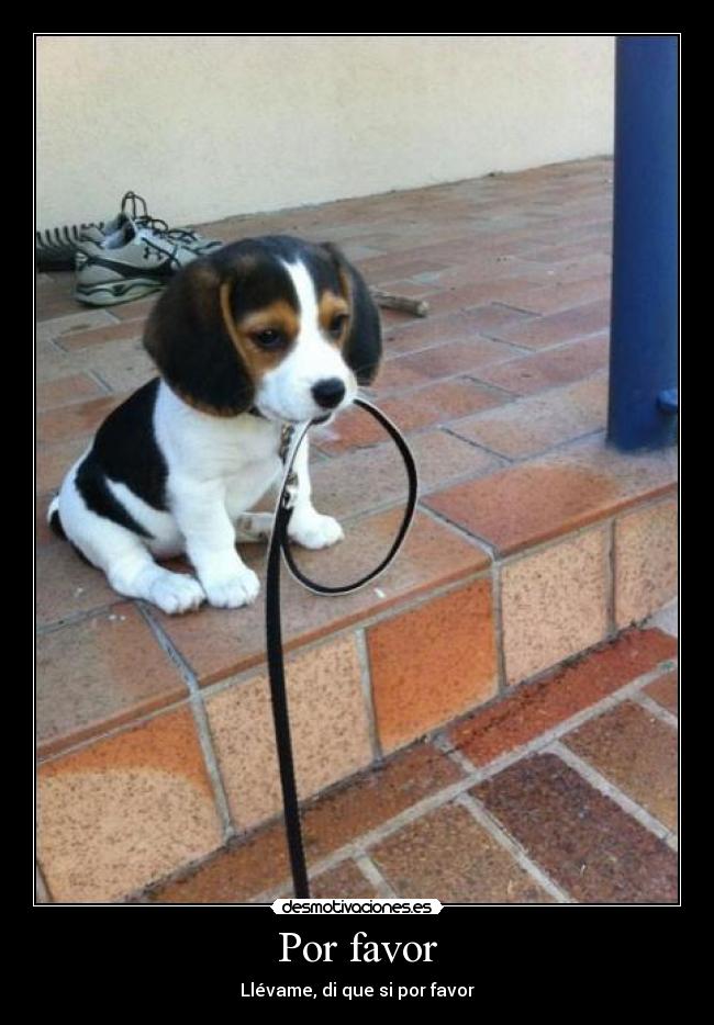 Por favor - Llévame, di que si por favor