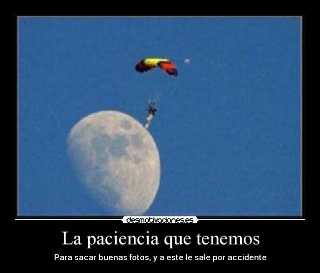 La paciencia que tenemos - Para sacar buenas fotos, y a este le sale por accidente