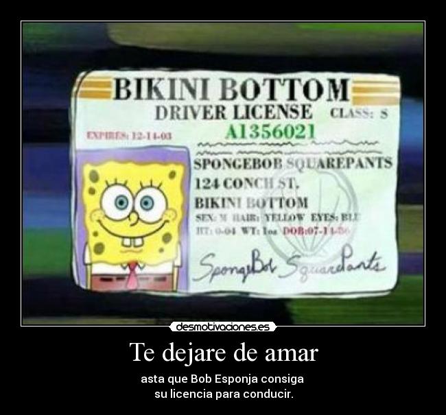Te dejare de amar - asta que Bob Esponja consiga
su licencia para conducir.