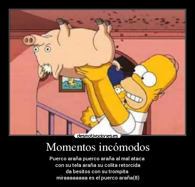 Momentos incómodos - Puerco araña puerco araña al mal ataca
con su tela araña su colita retorcida
da besitos con su trompita
miraaaaaaaa es el puerco araña(8)