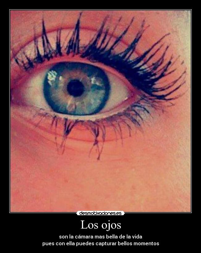 Los ojos - son la cámara mas bella de la vida
pues con ella puedes capturar bellos momentos