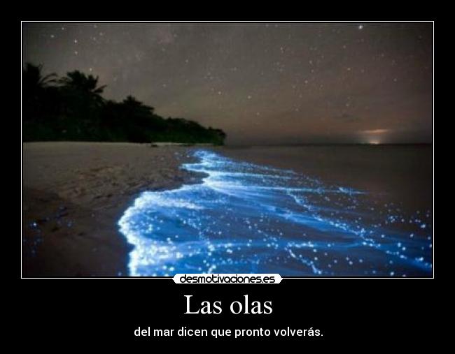 Las olas - del mar dicen que pronto volverás.