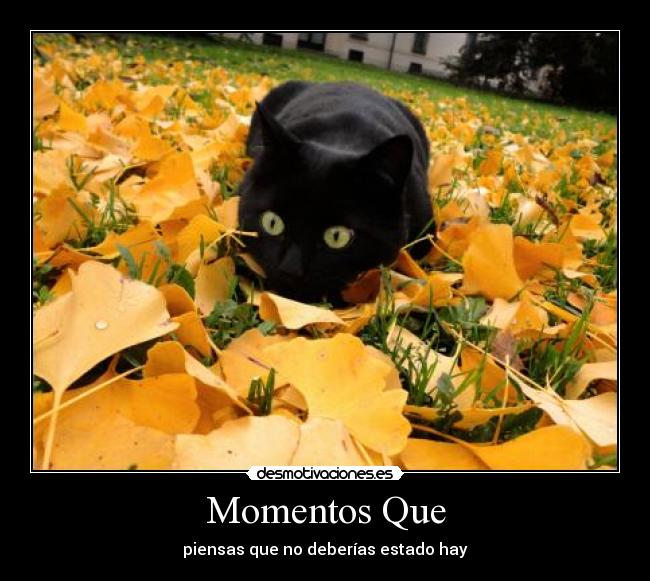 Momentos Que - piensas que no deberías estado hay