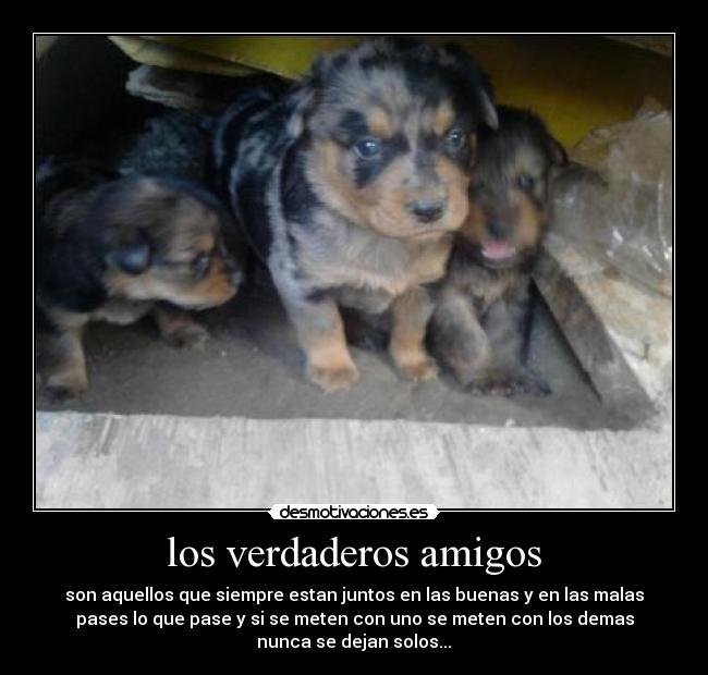 carteles amigos isa vasquez desmotivaciones