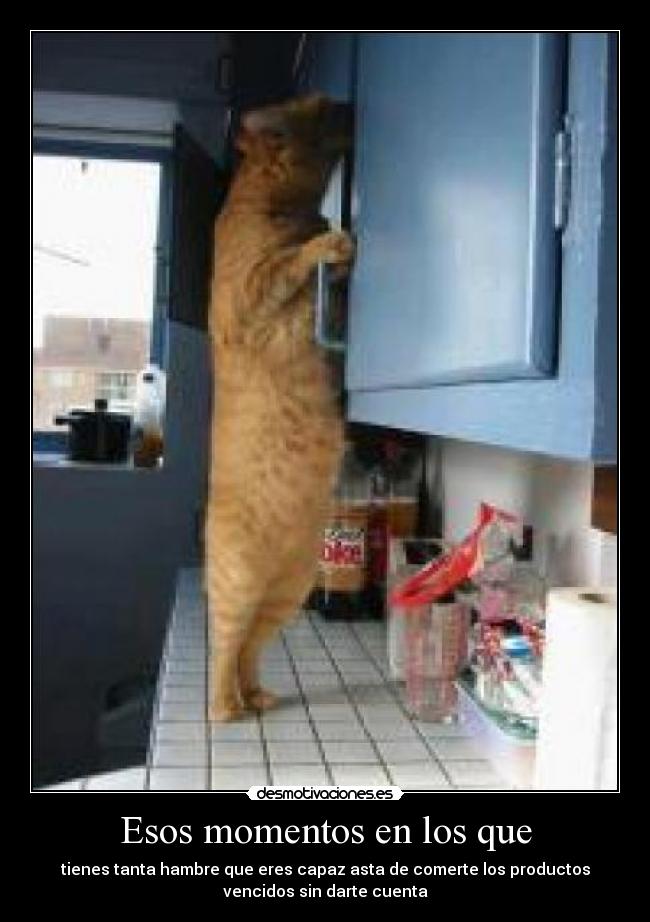 carteles ddddddddddddddddddddddddddddd desmotivaciones