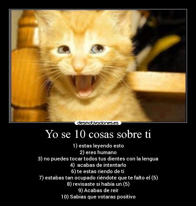 Yo se 10 cosas sobre ti -