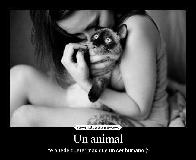 Un animal - te puede querer mas que un ser humano (:
