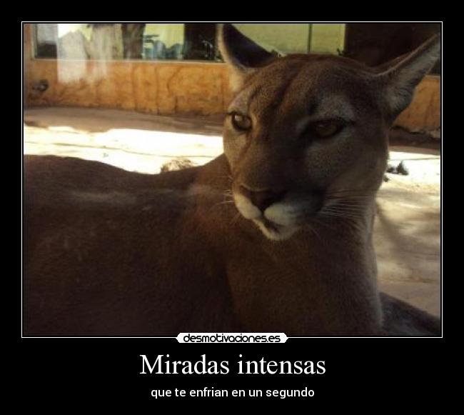 carteles slade desmotivaciones