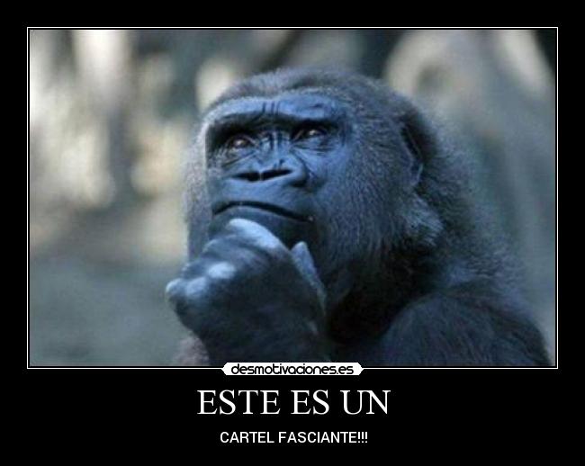 ESTE ES UN - CARTEL FASCIANTE!!!
