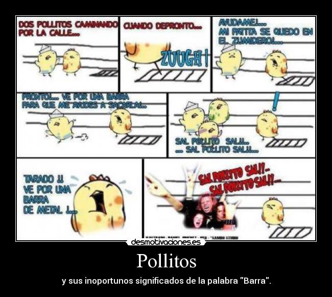 Pollitos -