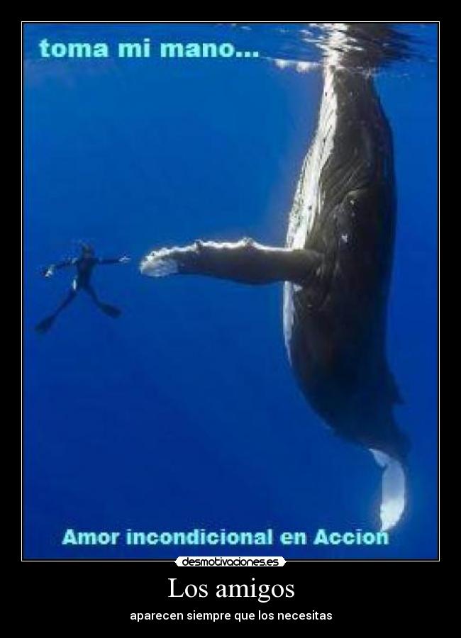 Los amigos -