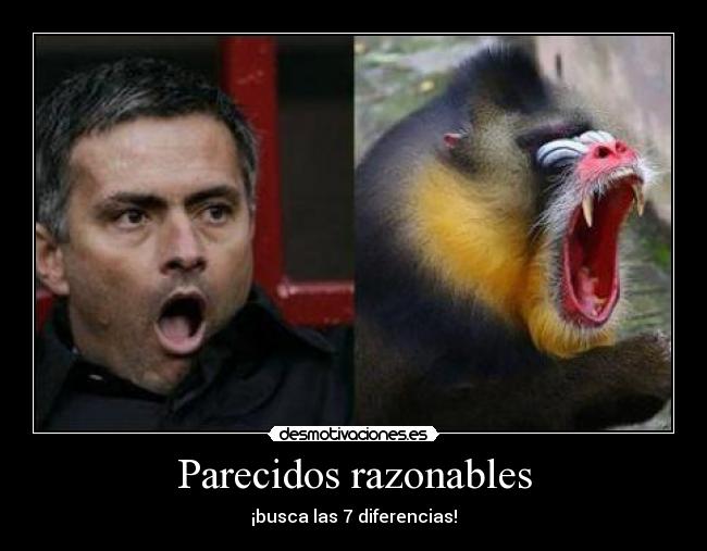 Parecidos razonables -