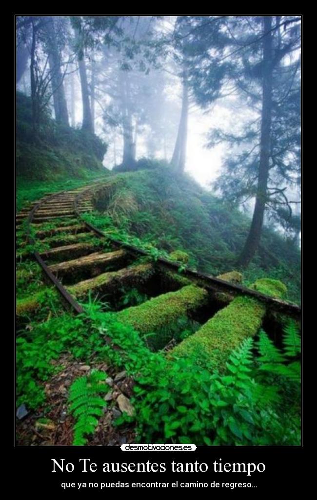 No Te ausentes tanto tiempo - que ya no puedas encontrar el camino de regreso...
