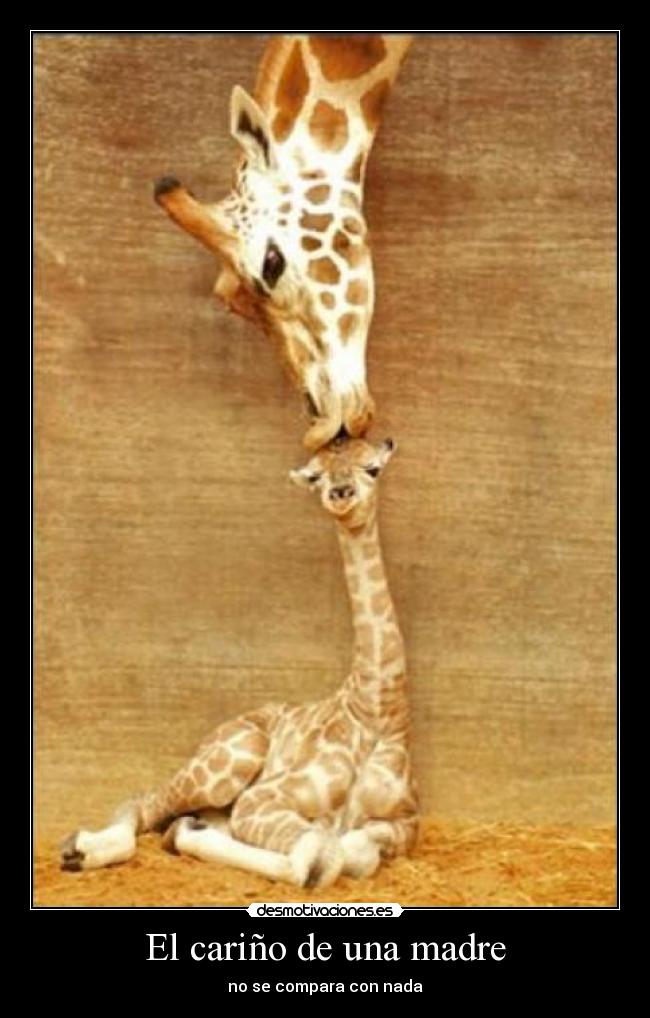 El cariño de una madre - no se compara con nada