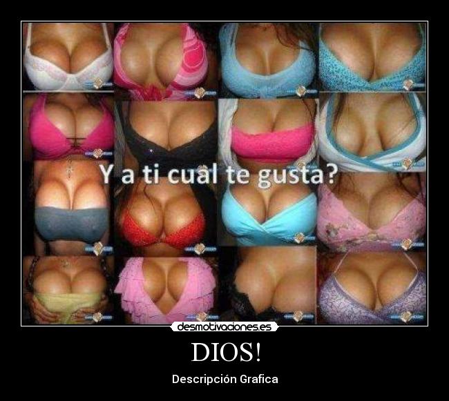DIOS! - Descripción Grafica