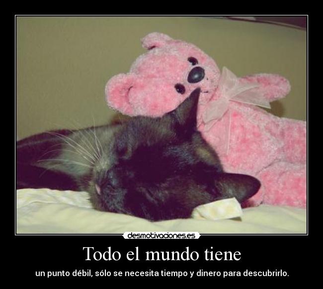 Todo el mundo tiene - un punto débil, sólo se necesita tiempo y dinero para descubrirlo.