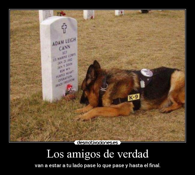 carteles amigos felicidades quiero alex peace desmotivaciones