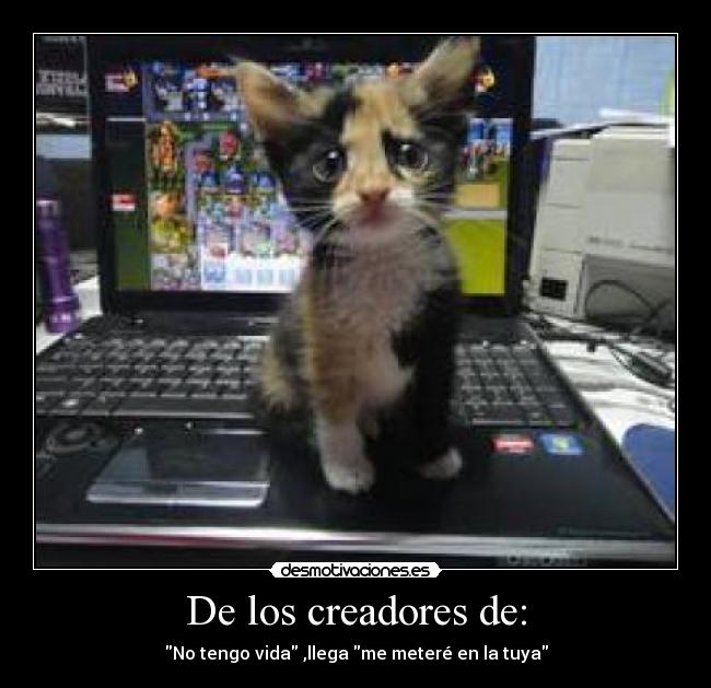 De los creadores de: - No tengo vida ,llega me meteré en la tuya