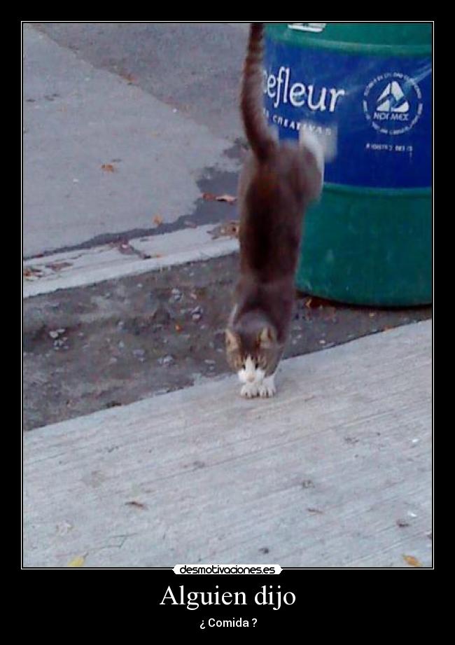 Alguien dijo - ¿ Comida ?