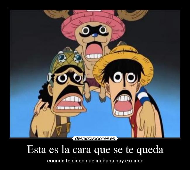 Esta es la cara que se te queda - cuando te dicen que mañana hay examen
