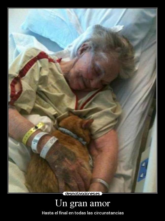 Un gran amor - Hasta el final en todas las circunstancias