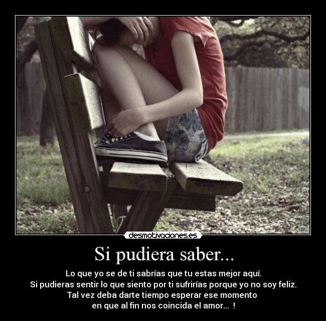 Si pudiera saber... - Lo que yo se de ti sabrías que tu estas mejor aquí.
Si pudieras sentir lo que siento por ti sufrirías porque yo no soy feliz.
Tal vez deba darte tiempo esperar ese momento
en que al fin nos coincida el amor... ♥!