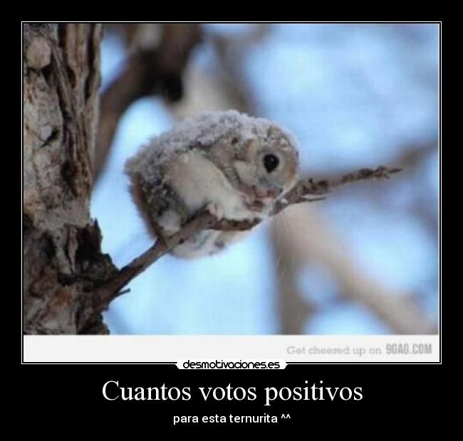 Cuantos votos positivos - 