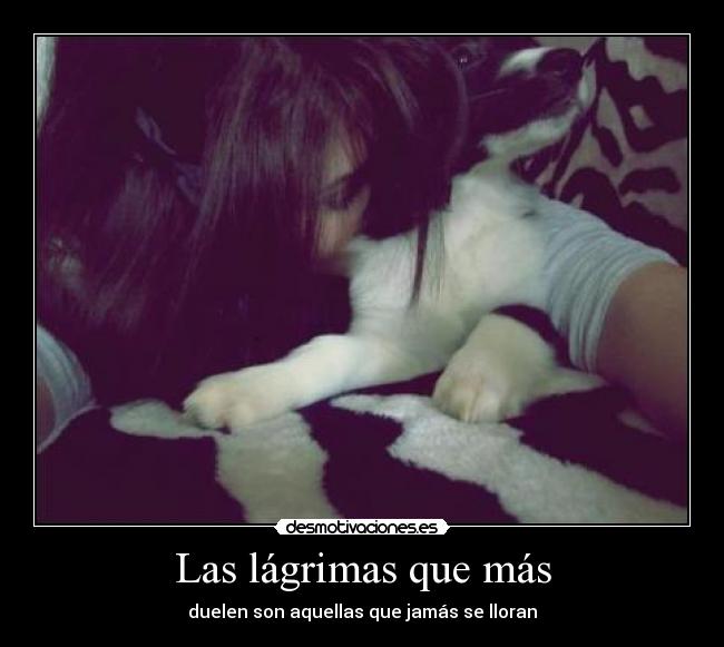 Las lágrimas que más - 