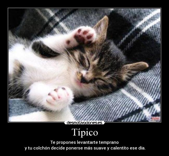 Típico - Te propones levantarte temprano
y tu colchón decide ponerse más suave y calentito ese día.