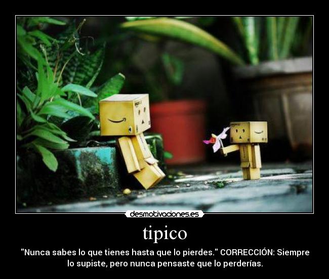 tipico - 
