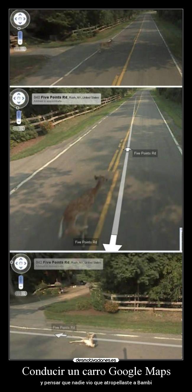 Conducir un carro Google Maps - y pensar que nadie vio que atropellaste a Bambi