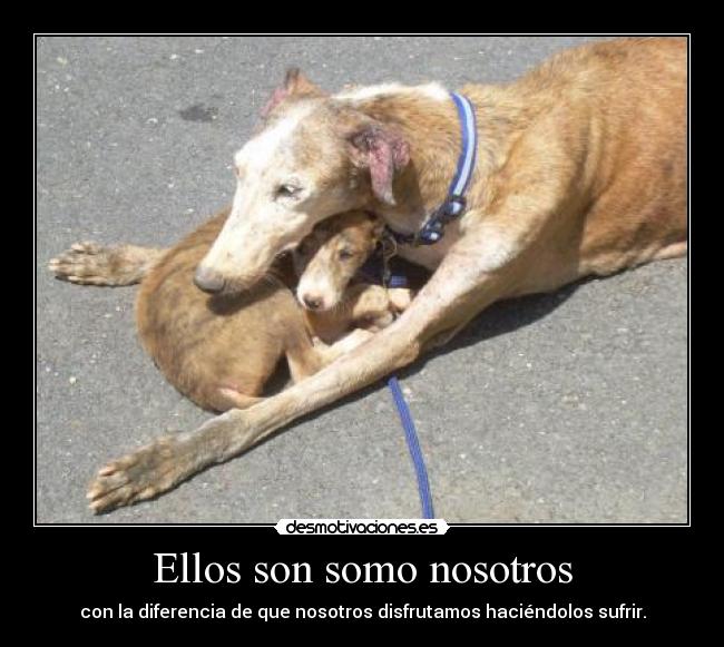 Ellos son somo nosotros - con la diferencia de que nosotros disfrutamos haciéndolos sufrir.
