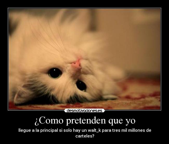 ¿Como pretenden que yo - llegue a la principal si solo hay un walt_k para tres mil millones de carteles?