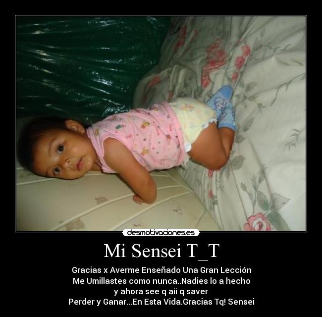 carteles daniielex desmotivaciones