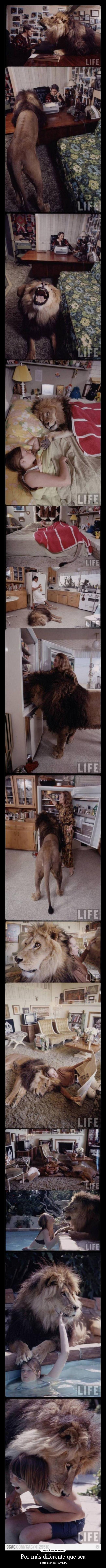 Por más diferente que sea - sigue siendo FAMILIA