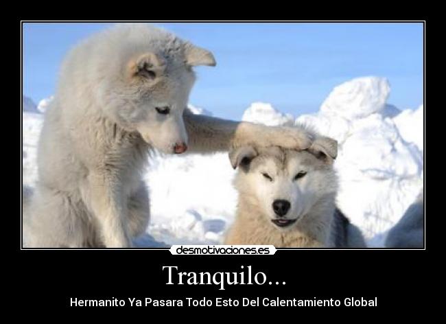Tranquilo... - Hermanito Ya Pasara Todo Esto Del Calentamiento Global