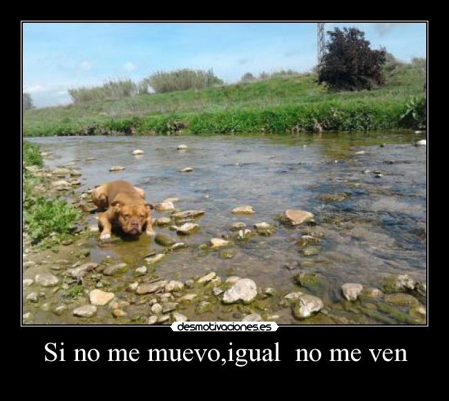 Si no me muevo,igual no me ven -