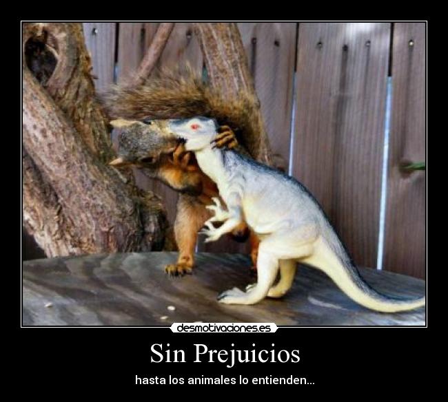 Sin Prejuicios - hasta los animales lo entienden...