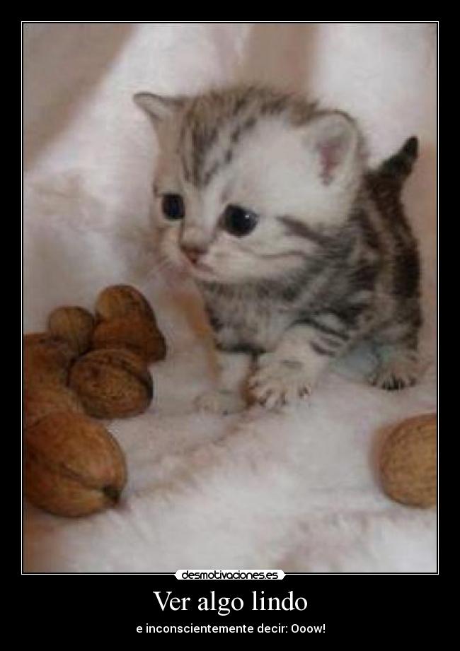 Ver algo lindo -