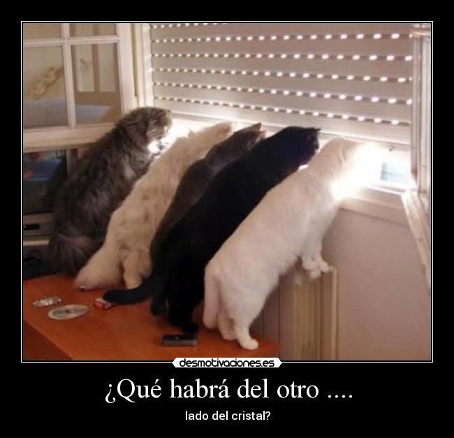 ¿Qué habrá del otro .... - 